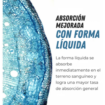 NEUROFOL KIDS 🧠💧¡ENERGÍA, CLARIDAD Y DESARROLLO DESDE AL FONDO! + ENVÍO GRATIS