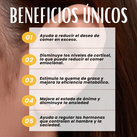 PENDIENTES VITALPRESS ✨ ¡BAJA 5 KILOS EN UN MES! + PDF   DE HABITOS SALUDABLES