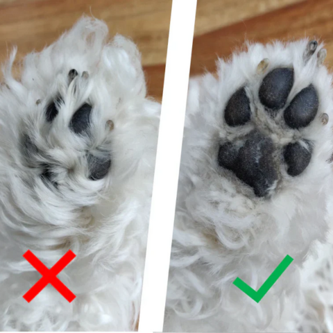 DEPILADOR CLEAN CAST PARA MASCOTAS ¡LIMPIAZA PROFUNDA! + ENVÍO GRATIS