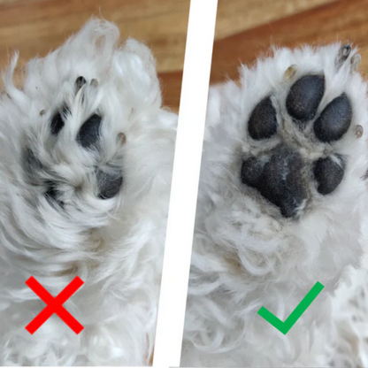 DEPILADOR CLEAN CAST PARA MASCOTAS ¡LIMPIAZA PROFUNDA! + ENVÍO GRATIS