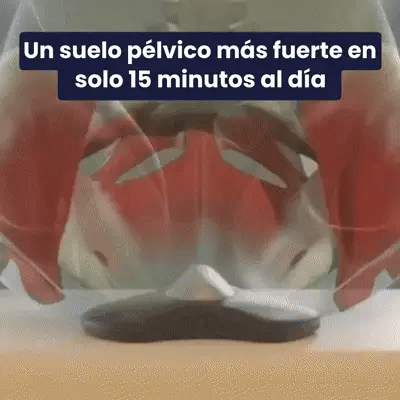 Entrenador suelo pélvico para hombres - Mas resistencia en la cama, mejor fluido  sanguíneo y mas satisfacción para ti y tu parejas - ¡Solo necesitas 15 minutos al día!